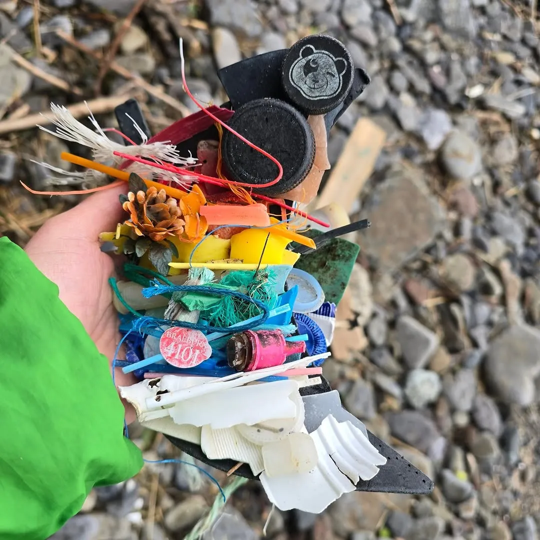 Saundersfoot harbour